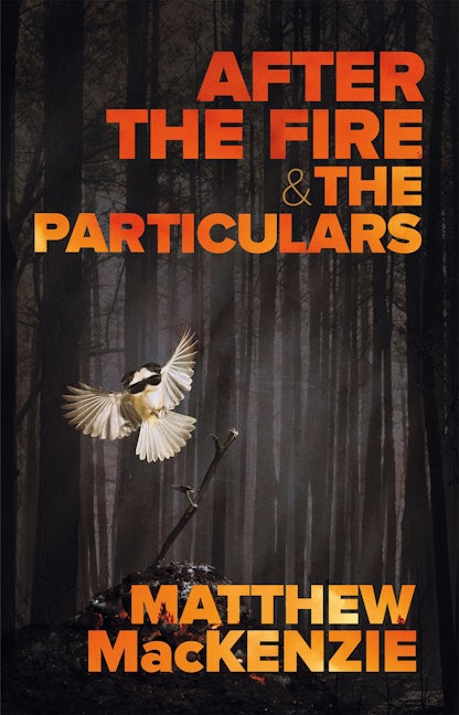 Book cover image for After the Fire & The Particulars ISBN: 9780369104090